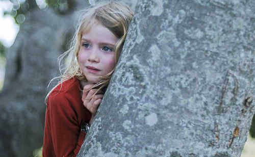 The Tree will screen in Kyogle next Thursday as part of the Big Screen Australian Film Festival. The Tree will screen in Kyogle next Thursday as part of the Big Screen Australian Film Festival.